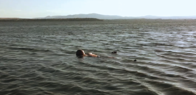 Cover de Le dernier ordre